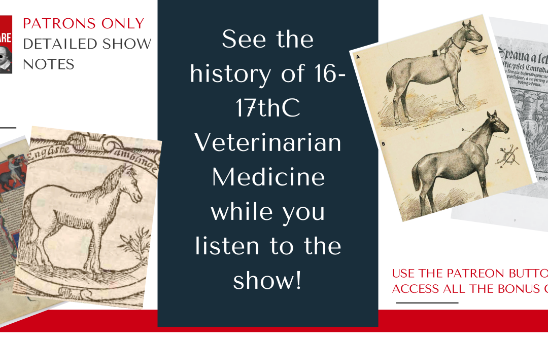 Detailed Show Notes Ep348 Veterinarian Medicine